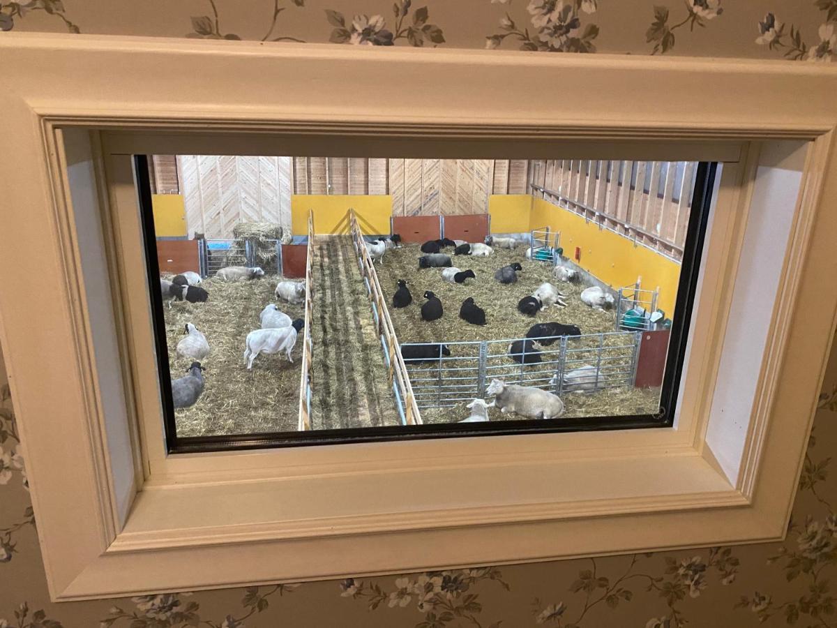 Newly Built Apartment Next Door To The Sheep Norrfjarden Exterior foto