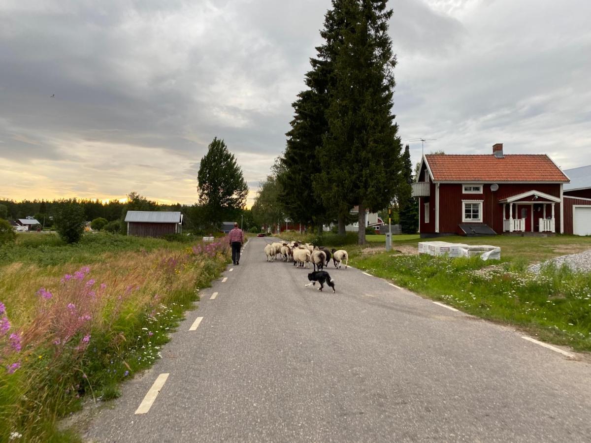 Newly Built Apartment Next Door To The Sheep Norrfjarden Exterior foto